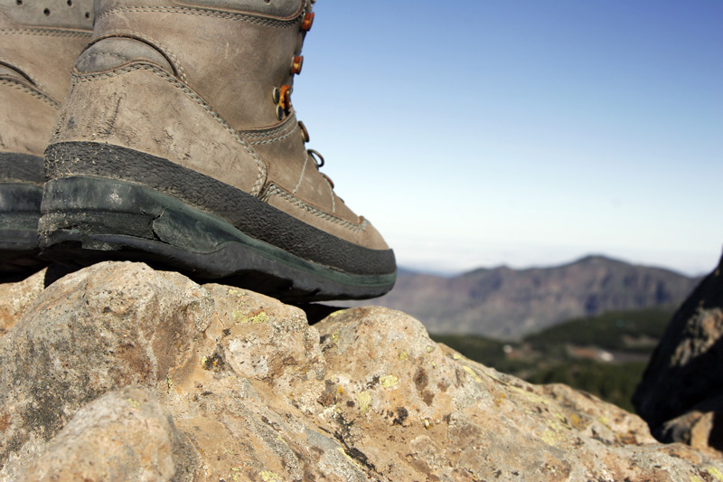 rugged datamax-oneil rl4