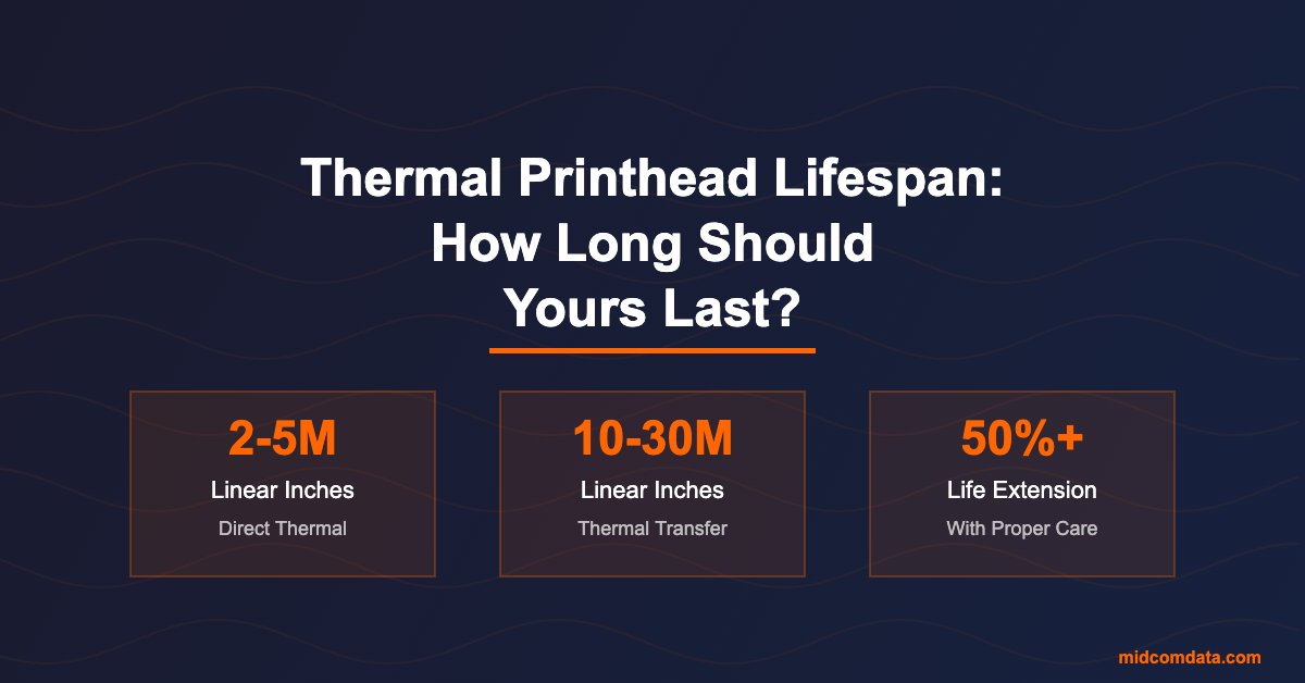 Infographic showing thermal printhead lifespan statistics for direct thermal and thermal transfer printers with maintenance tips