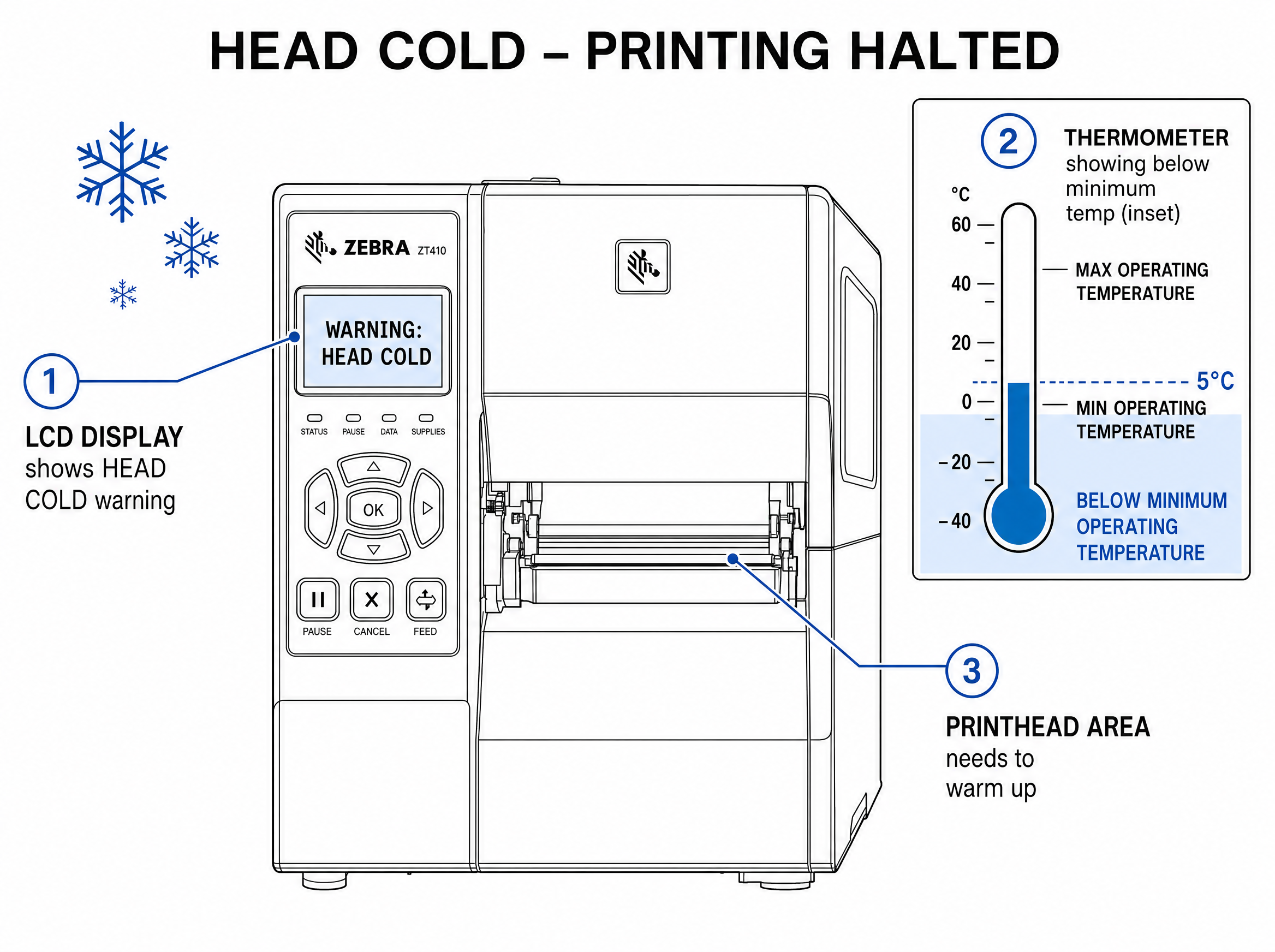 Fig. 10 Head Cold